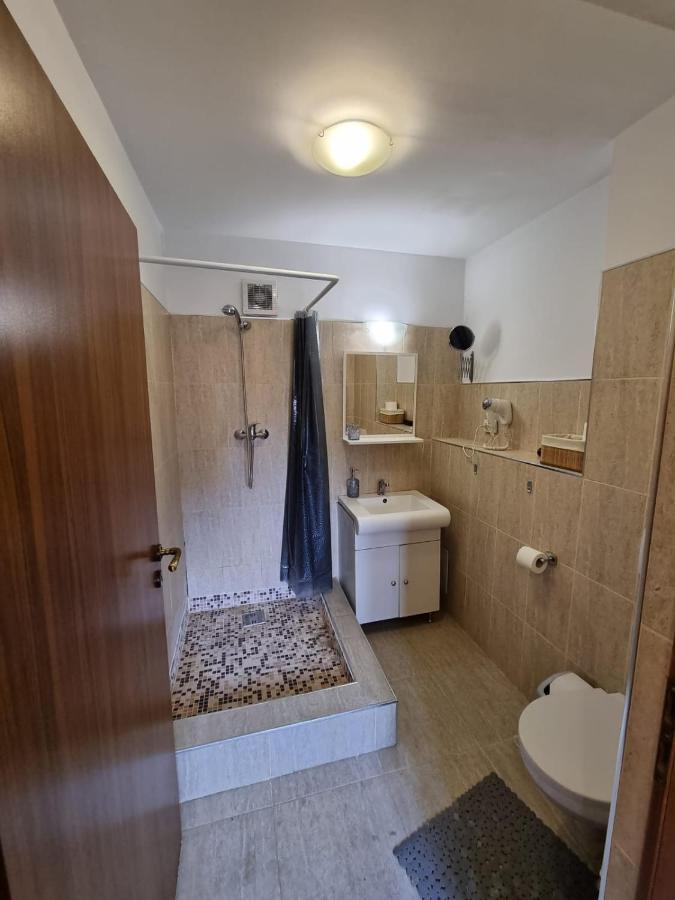דירות פלוייסטי Casa Romana מראה חיצוני תמונה